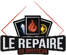 lerepairedudresseur.ch